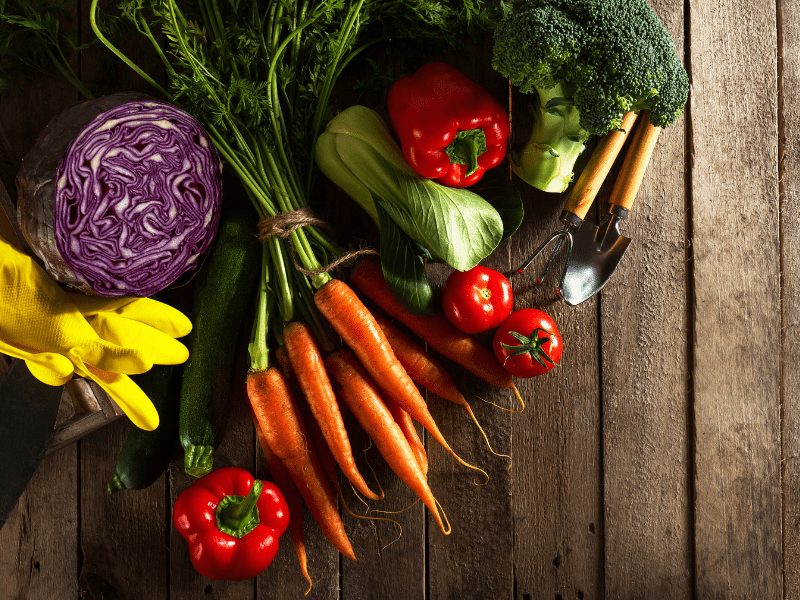groenten en fruit bevatten ook voldoende vitamines