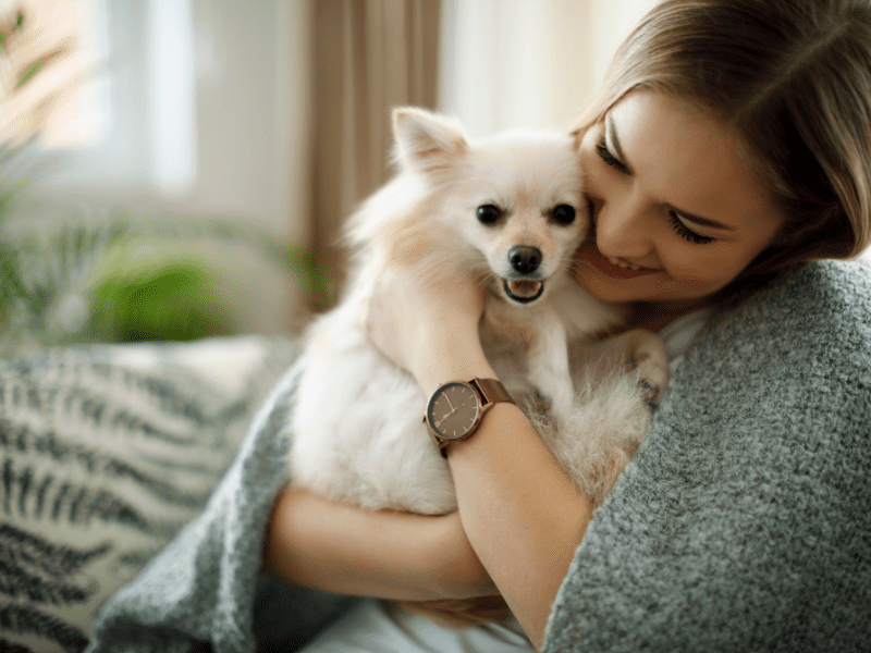 knuffelen met je huisdier kan ook helpen bij stress